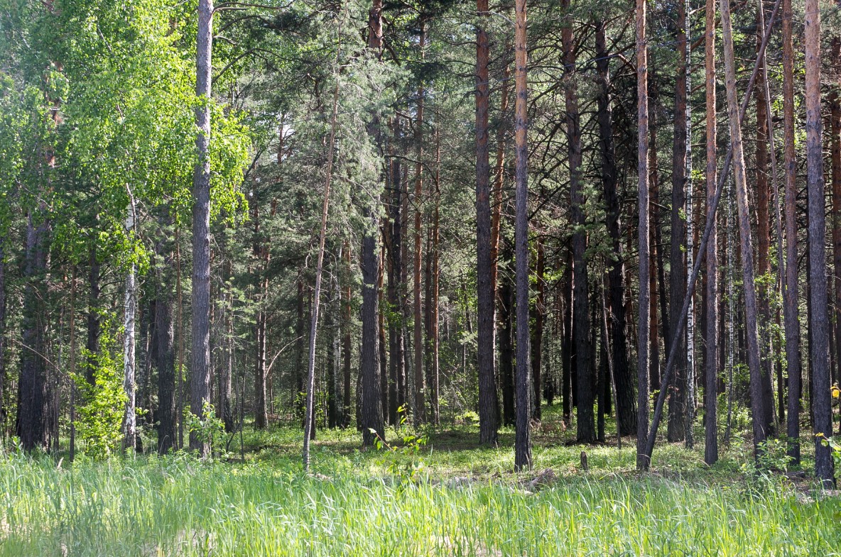 Фото: Денис Моргунов / URA.RU