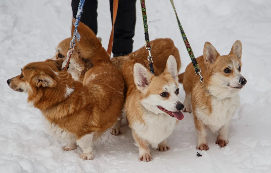 Илья Московец / РИА URA.RU
