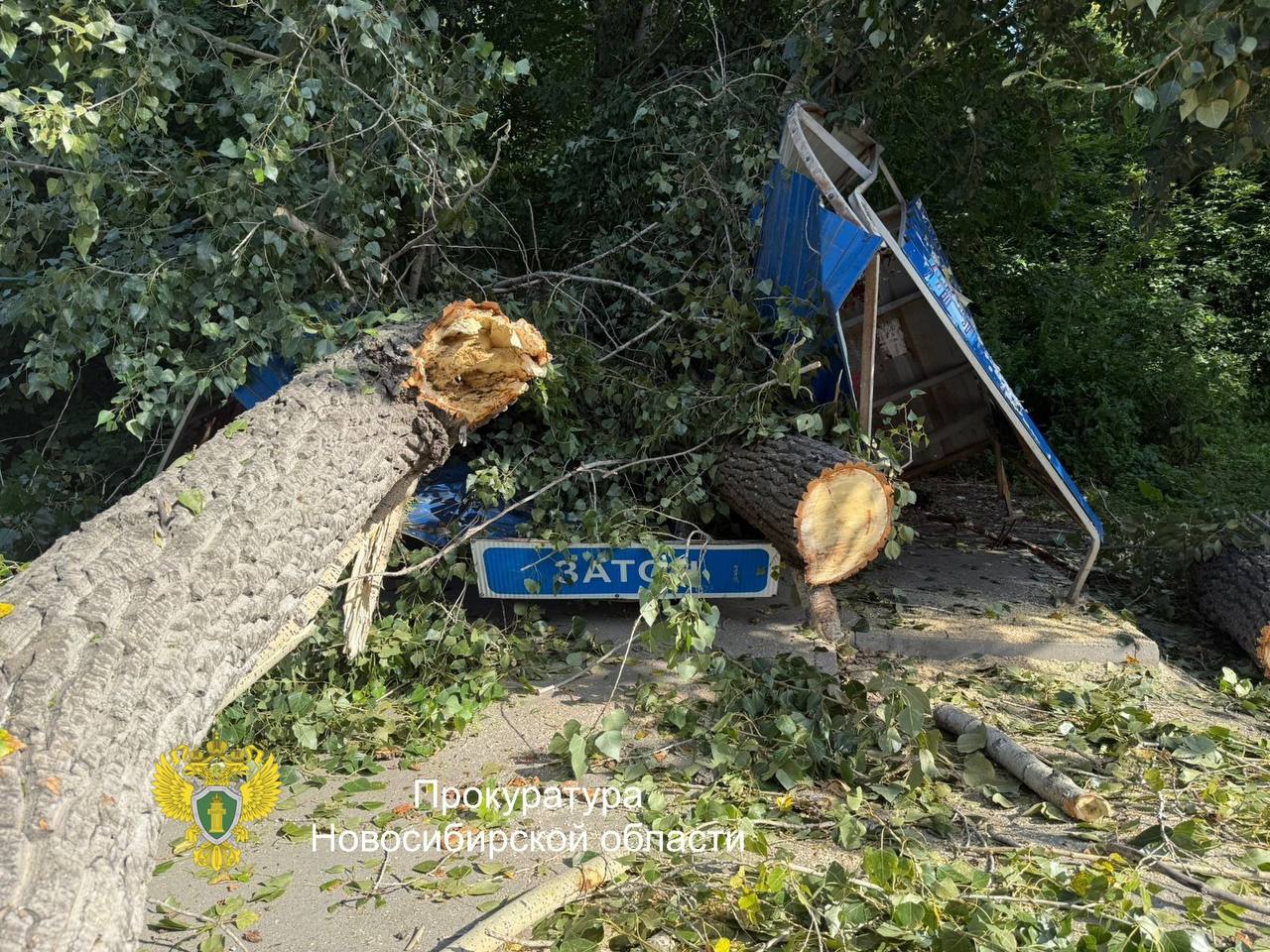 Фото: Прокуратура Новосибирской области 