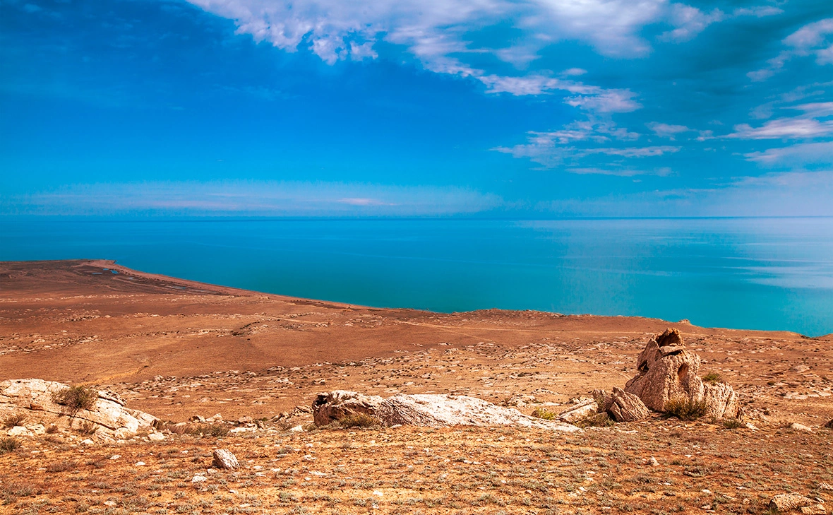 Marina Khlybova / Shutterstock