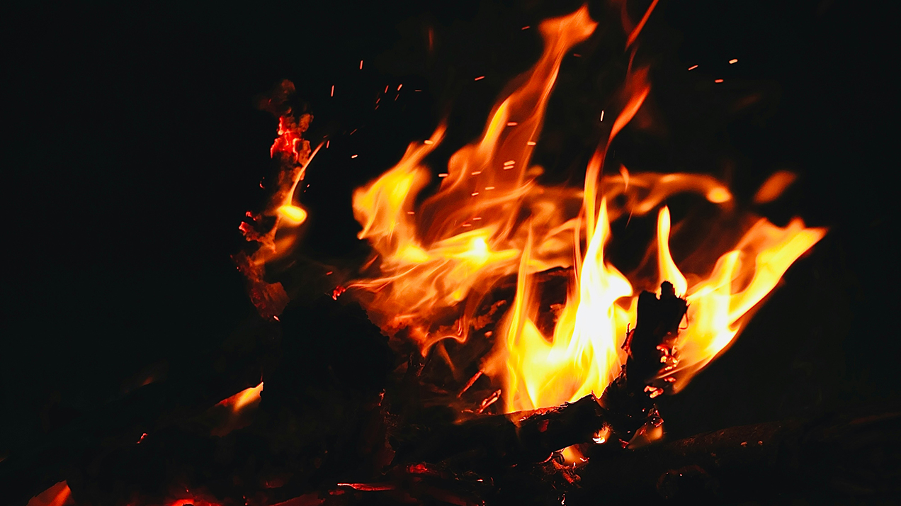 Треск костра, шум ресторана, шелест листьев: как звуки влияют на вкус