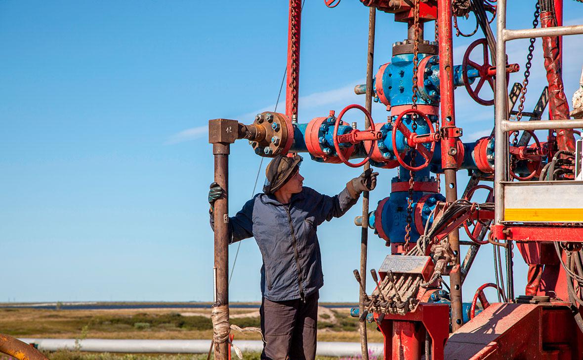 Фото: Евгений Митрошин / Shutterstock