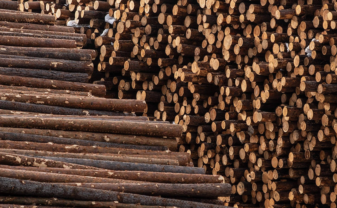 Илья Московец / URA.ru / Global Look Press