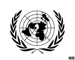 ООН призывает Грузию и Абхазию к перемирию 