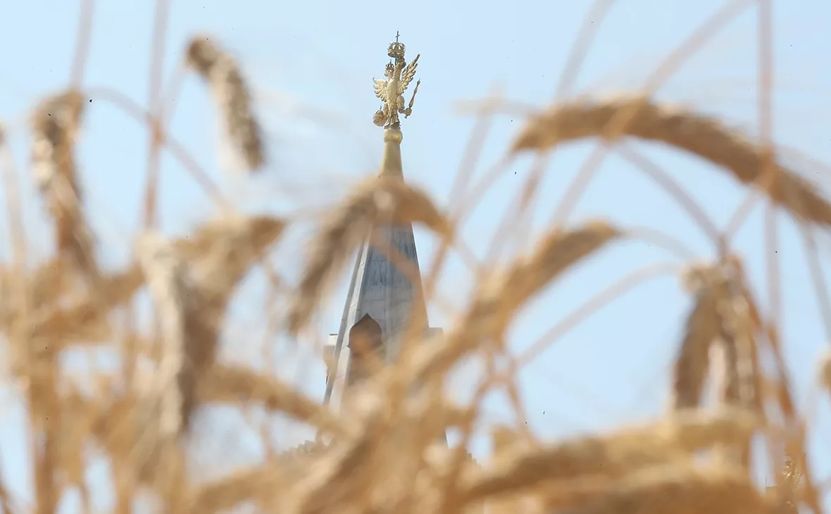 Андрей Любимов / РБК