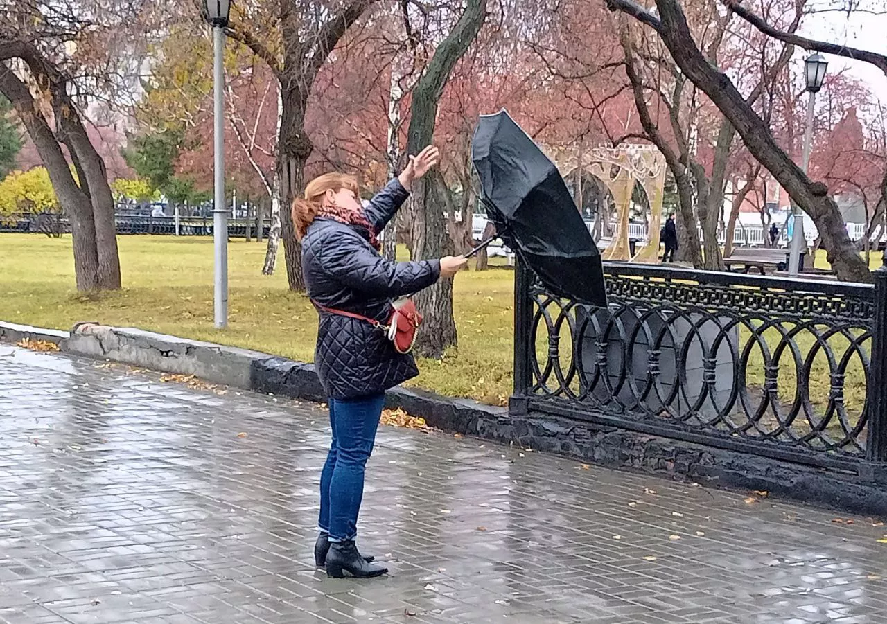 Алексей Коваленок/РБК Новосибирск