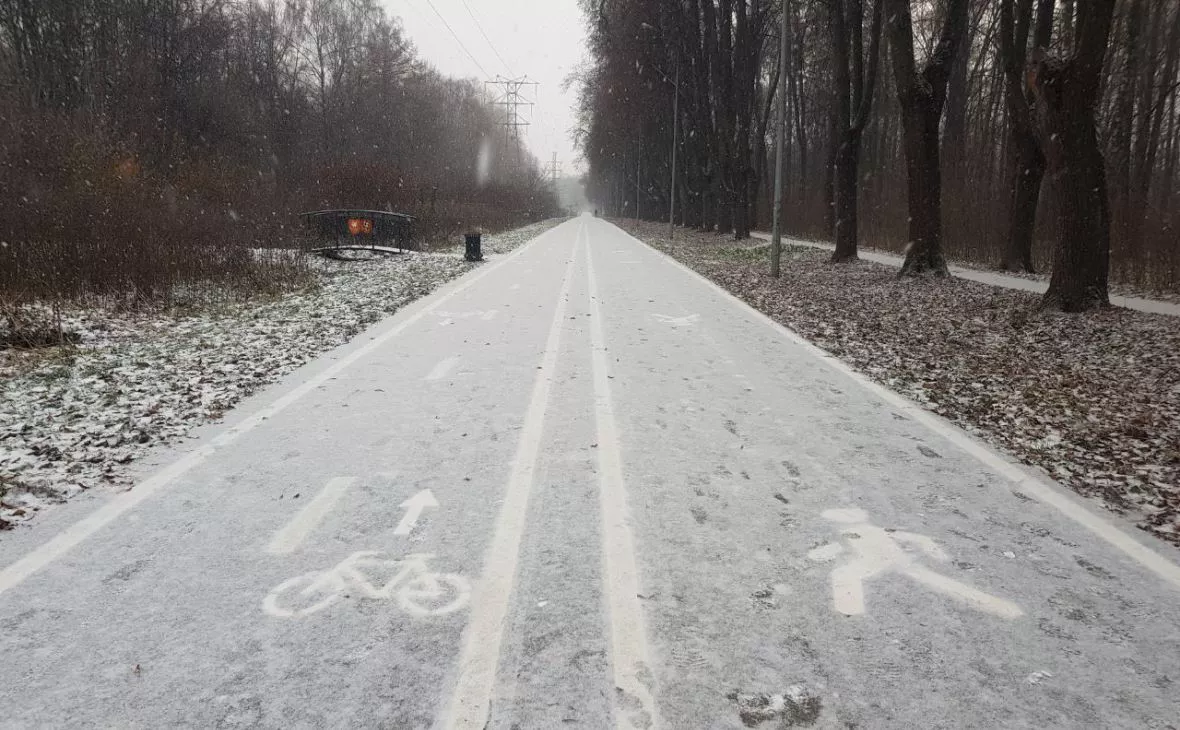 РБК Черноземье