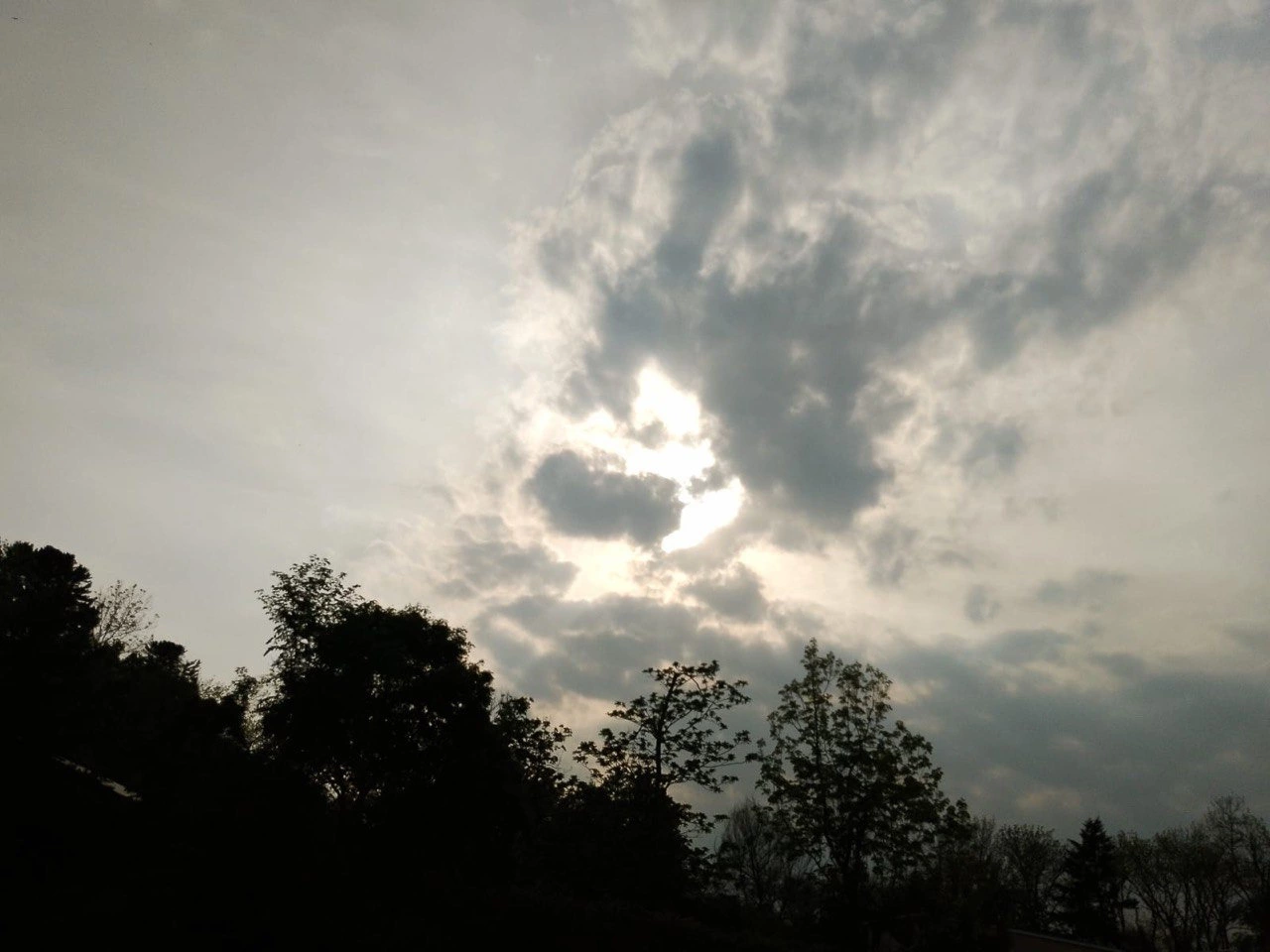 РБК Приморье