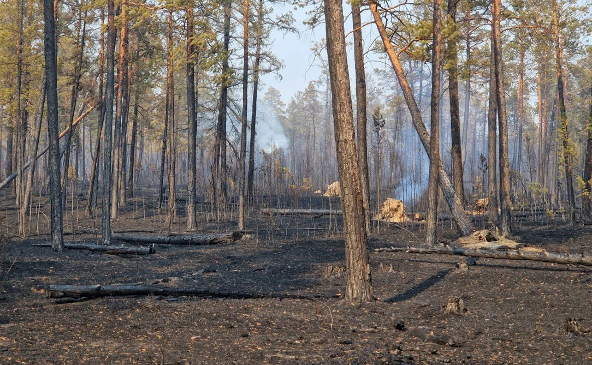 ValeriNikolaev / Telegram