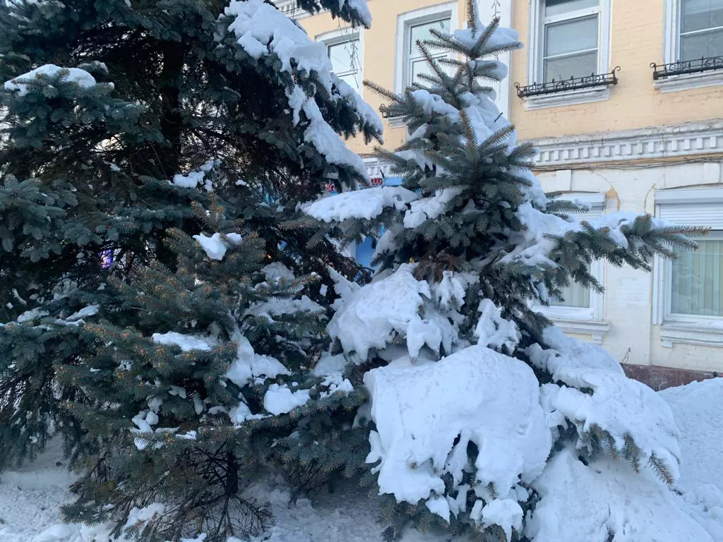 РБК Приморье