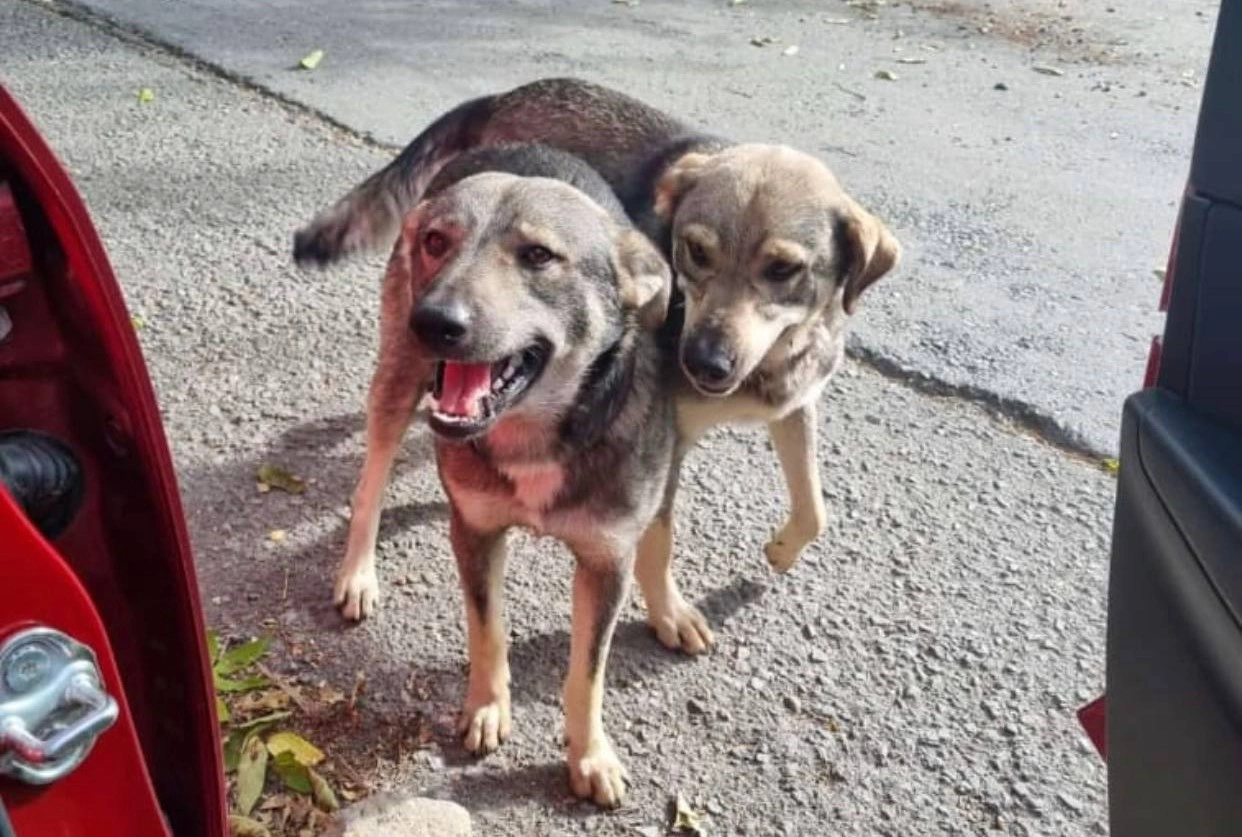 РБК Приморье