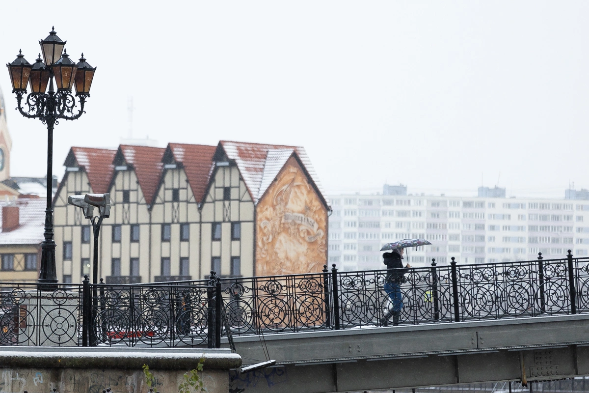 Александр Подгорчук