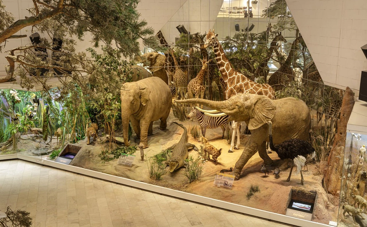 Дарвиновский музей / Telegram