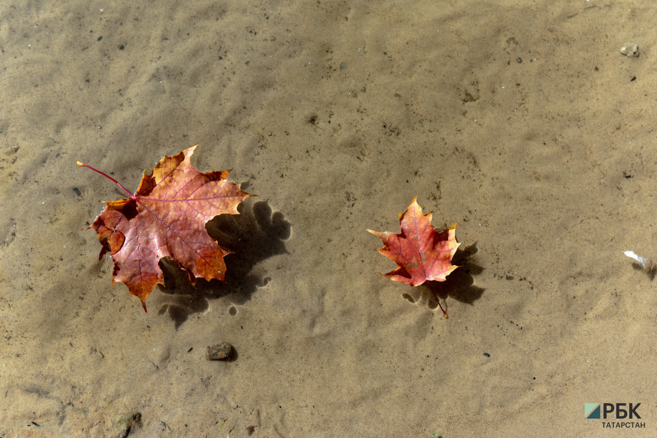 Фото: РБК Татарстан