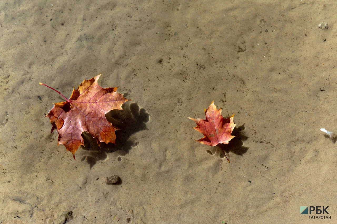 РБК Татарстан