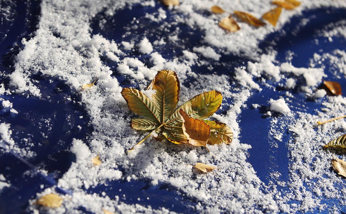 Фото: Кирилл Зыков / АГН «Москва»