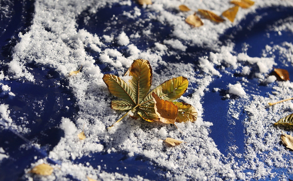 Кирилл Зыков / АГН «Москва»