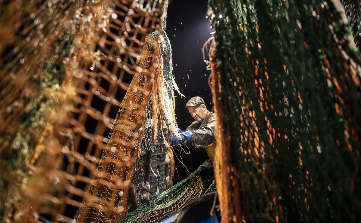 Фото:Dan Kitwood / Getty Images