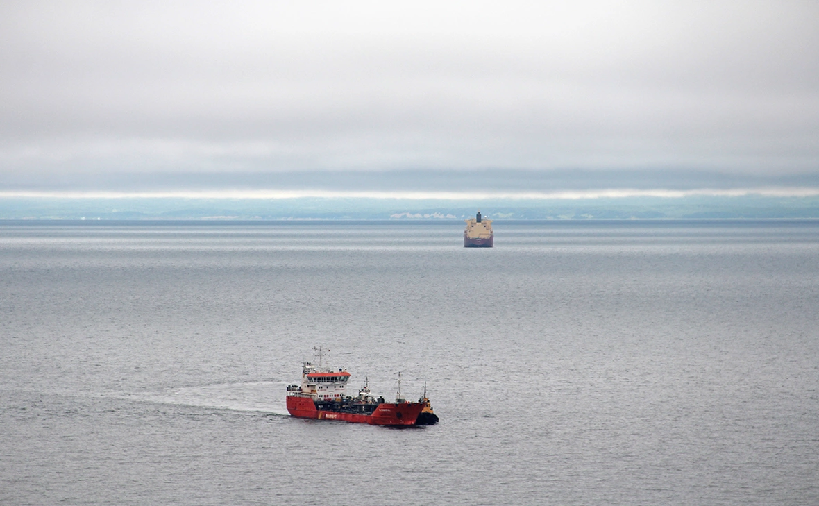 Anna Chizhova / Shutterstock