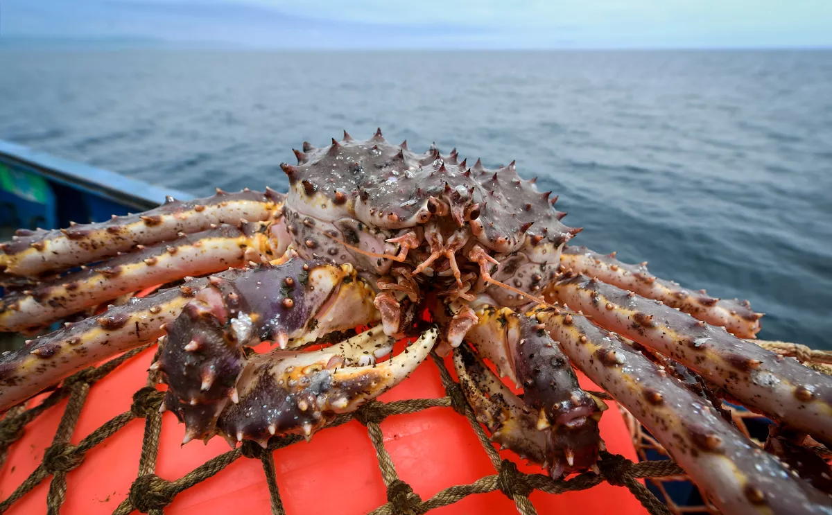 Юрий Смитюк / ТАСС