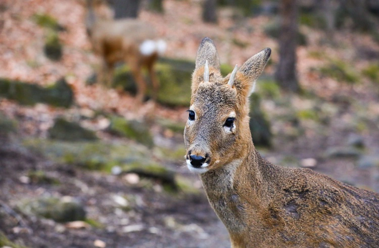 Правительство Приморского края