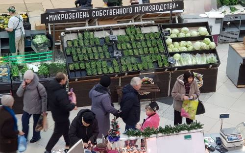 Фото: РБК Черноземье