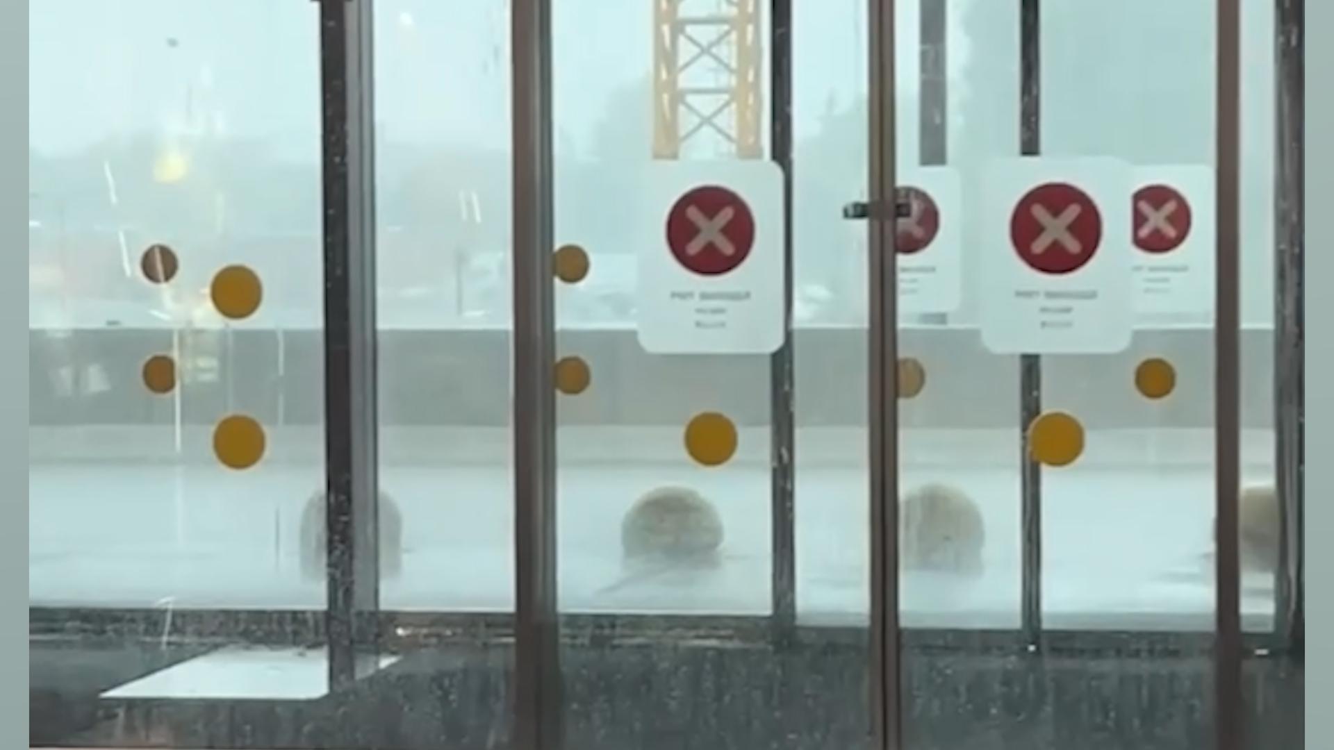 Три рейса ушли на запасные аэродромы из-за непогоды в Москве