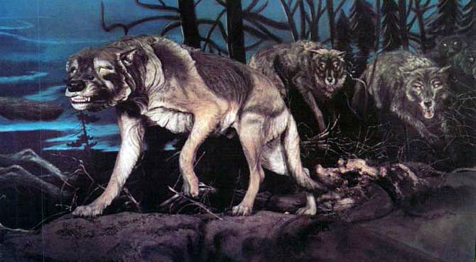 Реконструкция образа Aenocyon dirus
&nbsp;