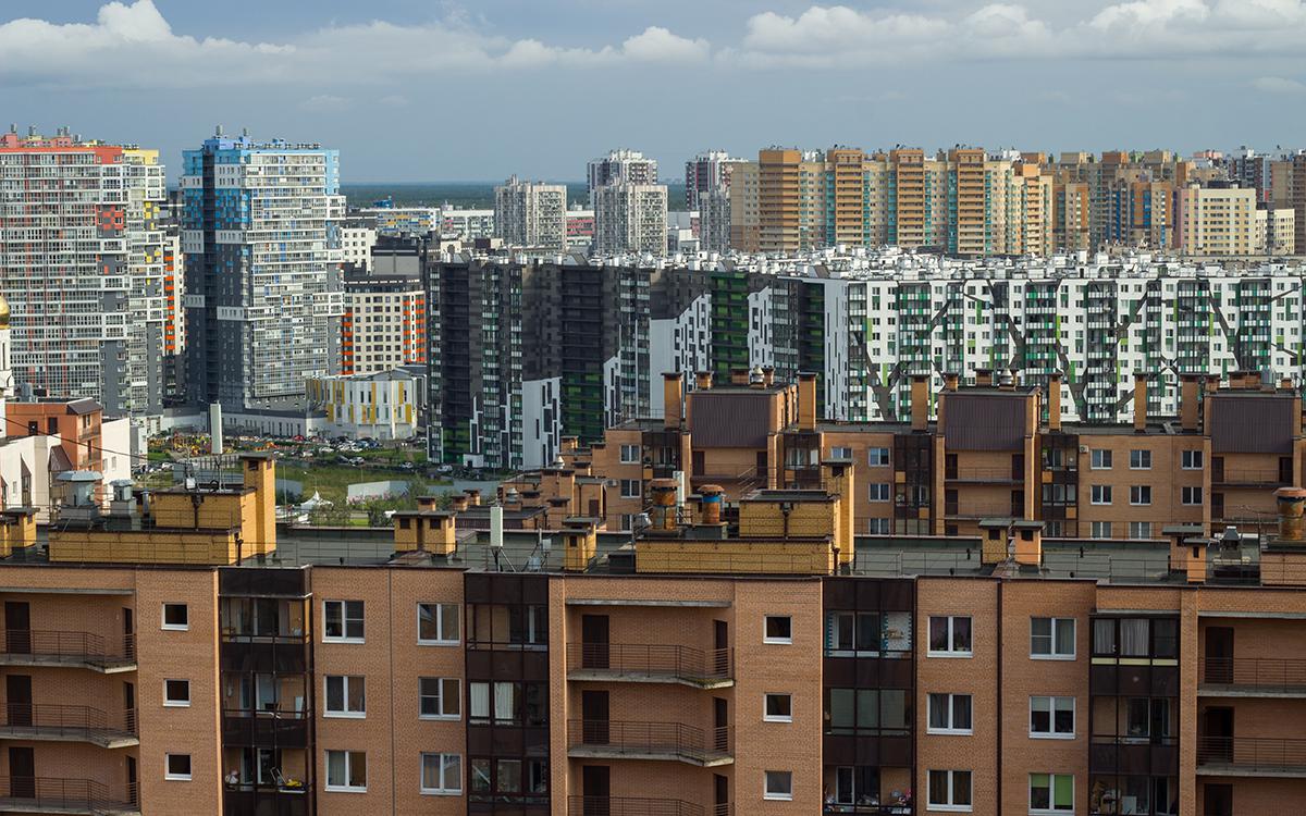 Фото: Shraybikus22 / Shutterstock / FOTODOM