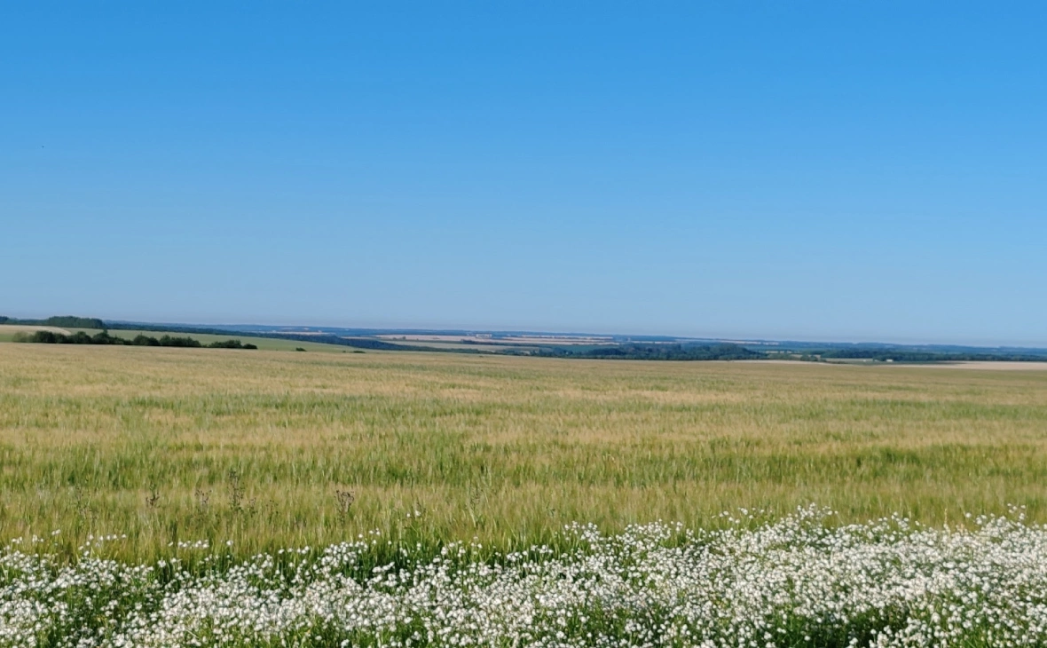 РБК Черноземье