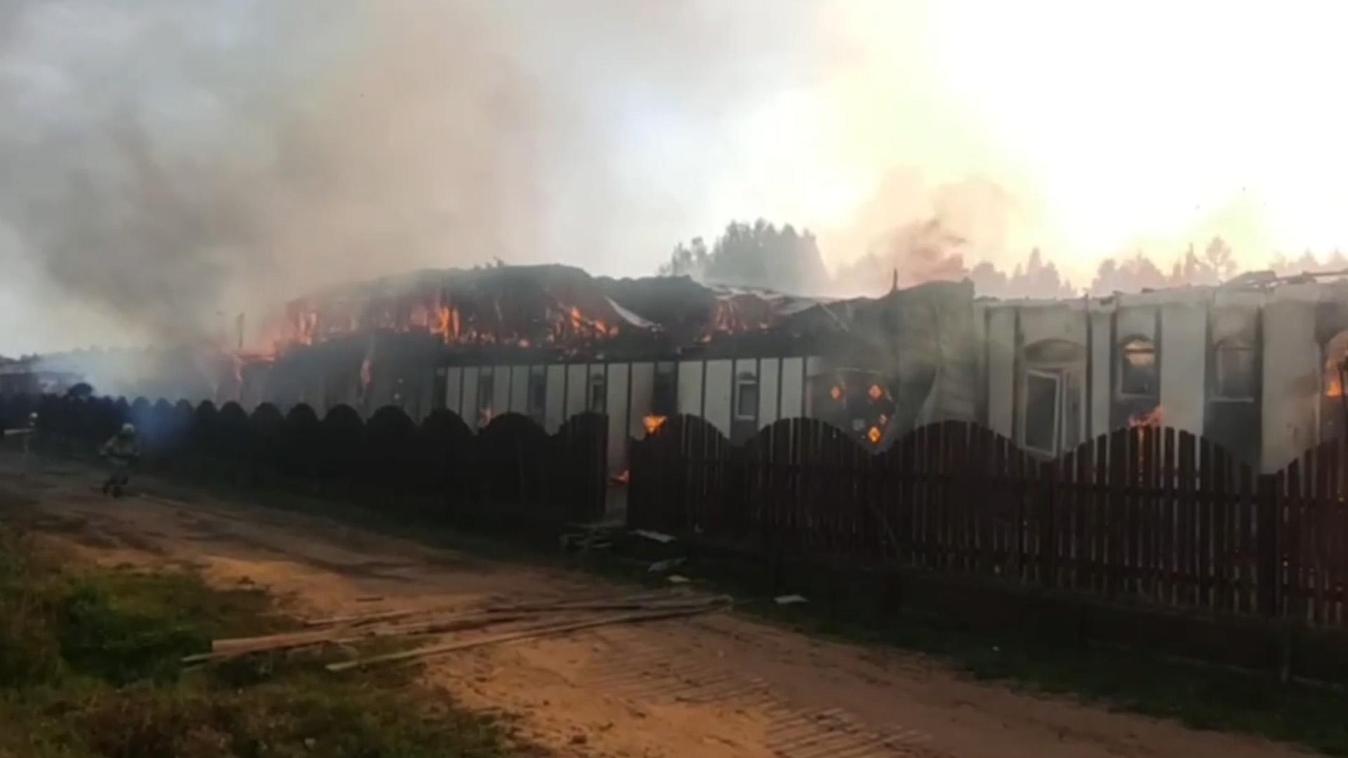 В Ленинградской области загорелась конюшня