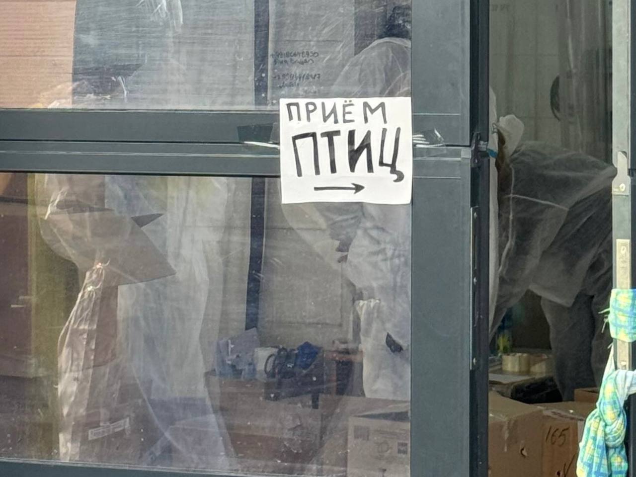 Фото: Виктория Давыдова/РБК Краснодар