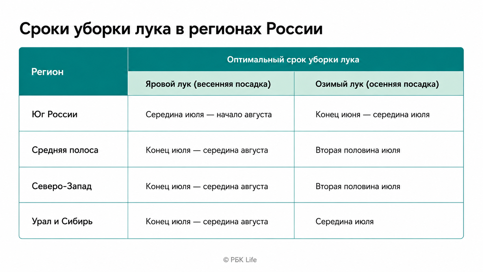 Сроки уборки лука в зависимости от региона