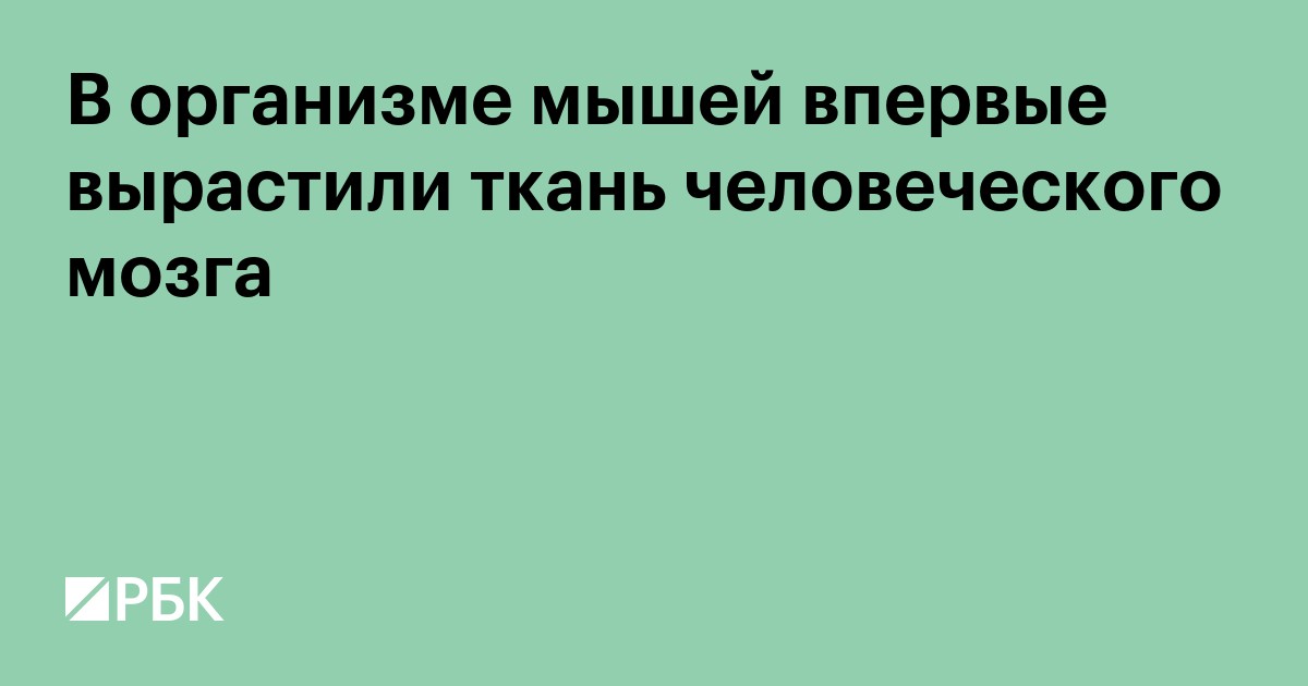 В организме мышей впервые вырастили ткань человеческого мозга
