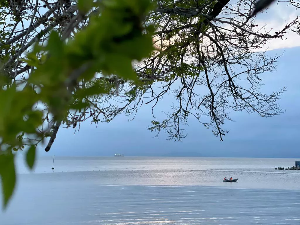 РБК Приморье