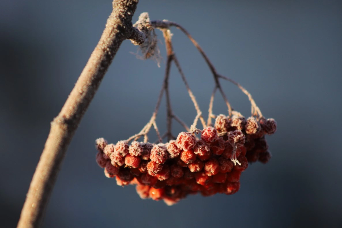 Екатерина Сычкова / URA.RU