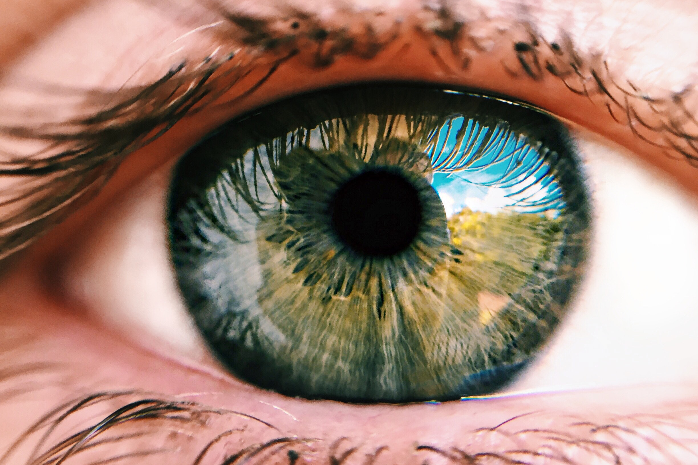 Как улучшить зрение дома — как восстановить зрение без очков при помощи гимнастики для глаз