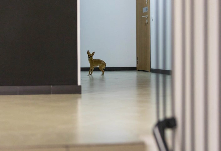 «Брусника»