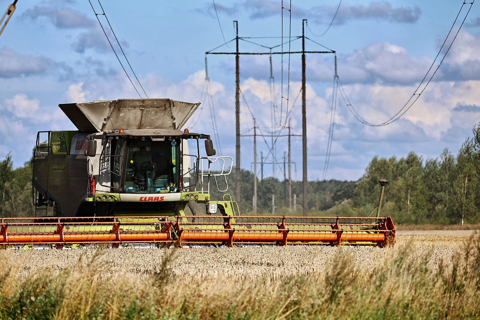 Александр Подгорчук