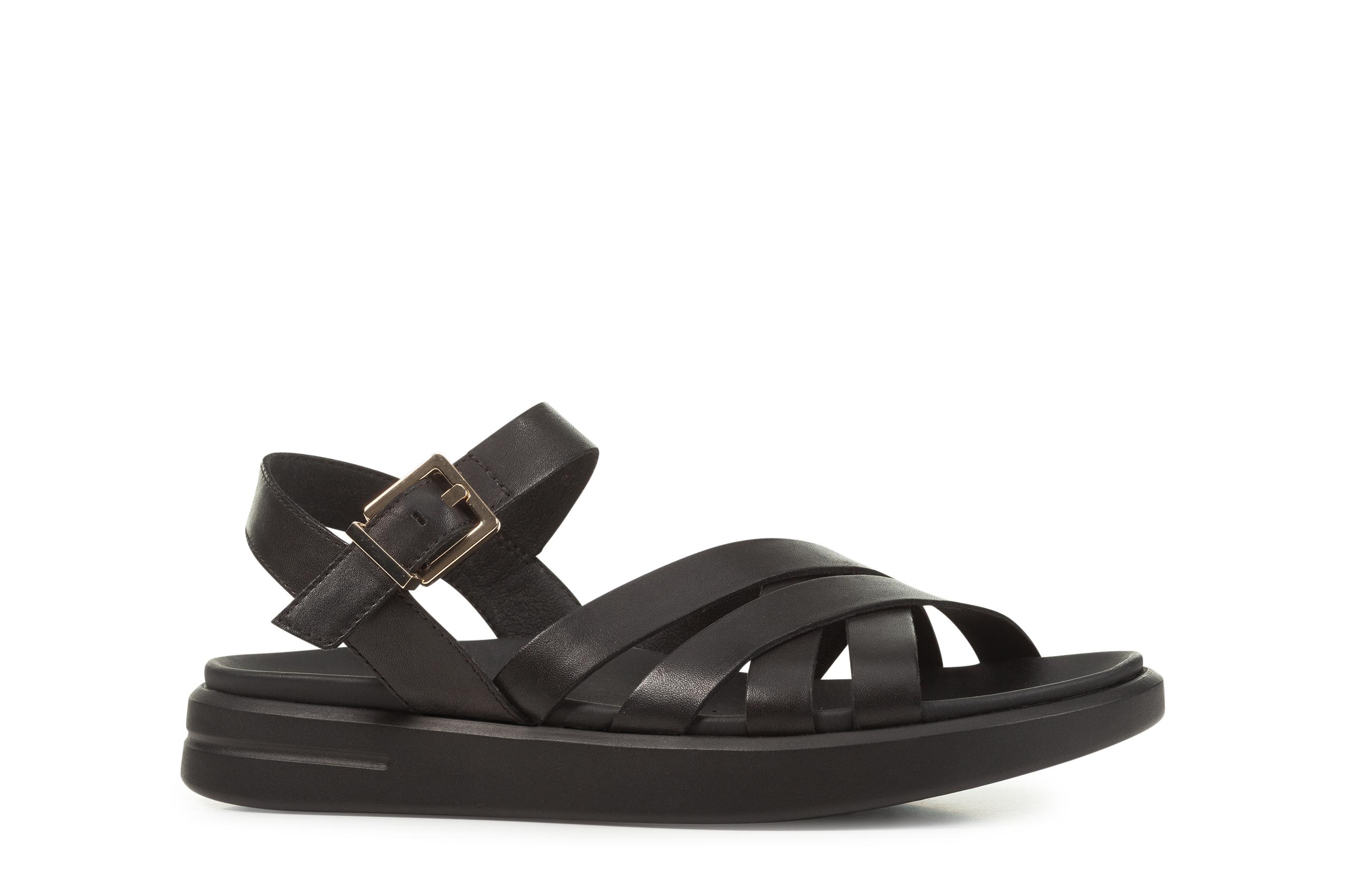 Xand 2S, Geox