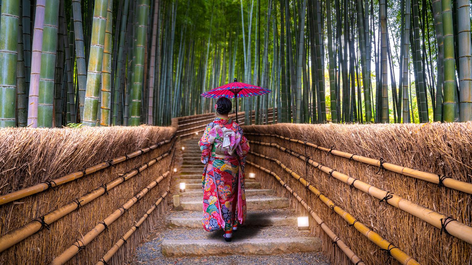 Киото, тур Four Seasons International Intrigue