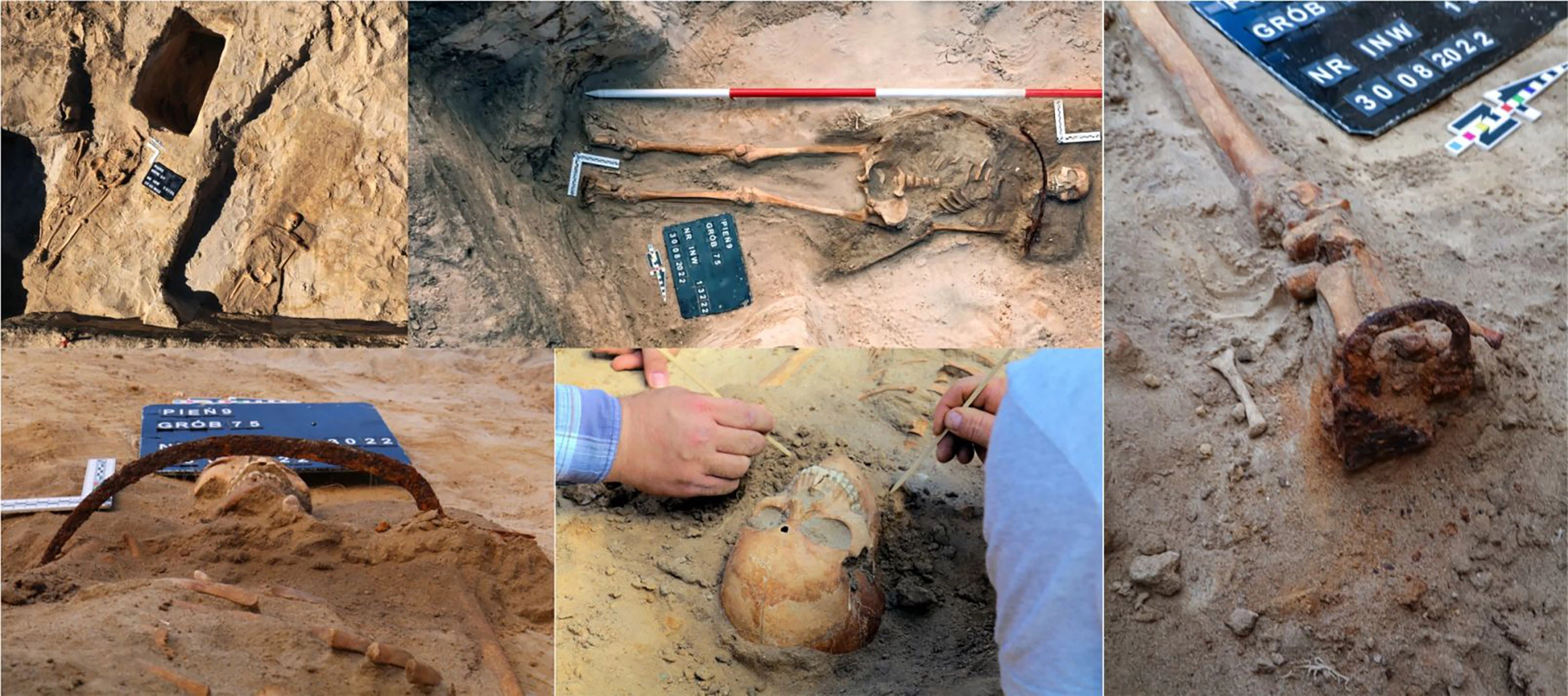 <p>До сих пор ведутся исследования останков &laquo;вампира&raquo;, обнаружение которого стало самым громким событием прошлогодних раскопок в Хоботе</p>