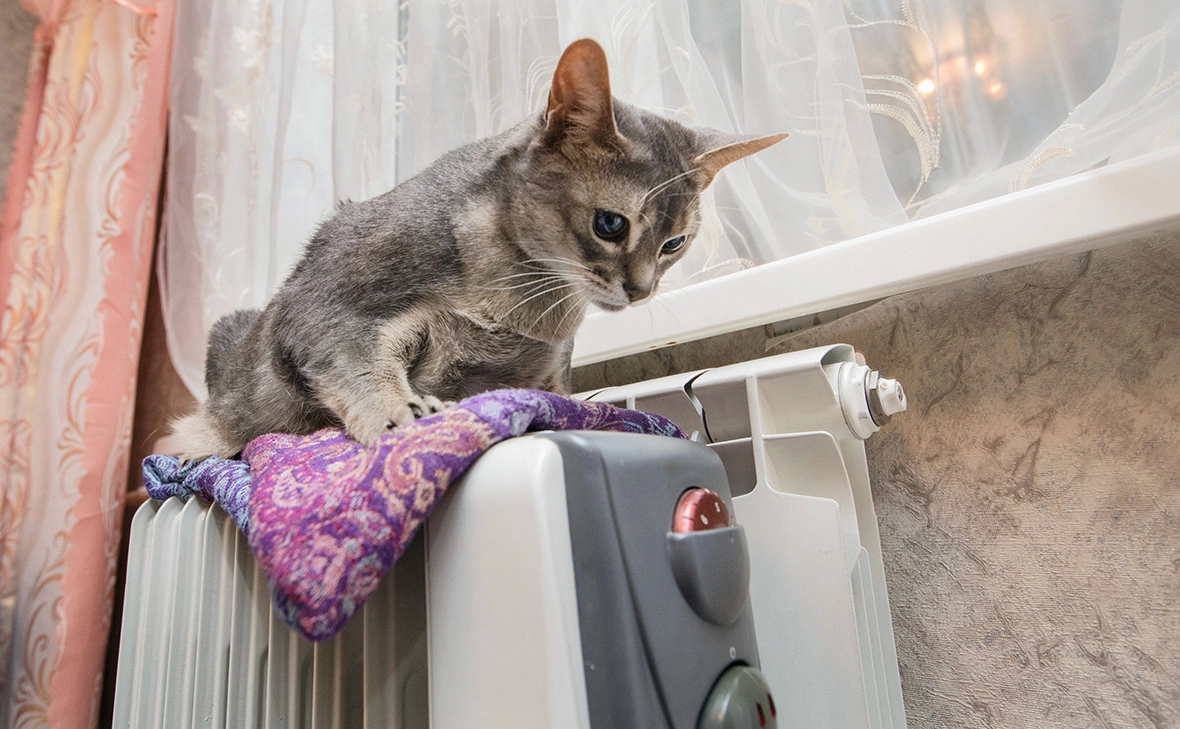 Алексей Белкин / ТАСС