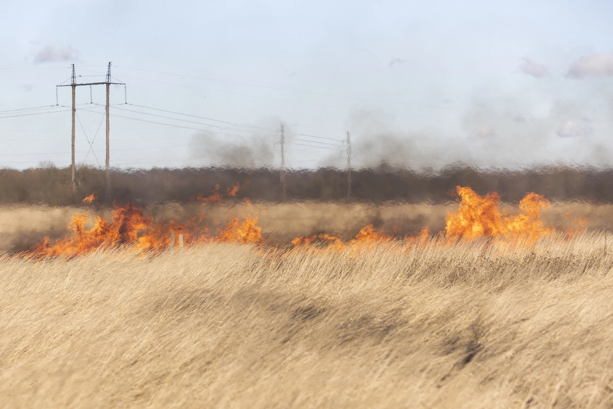 Александр Подгорчук