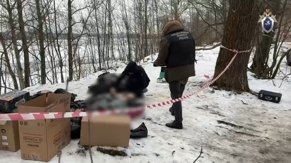 Фото: ГСУ СК России по г. Санкт-Петербургу