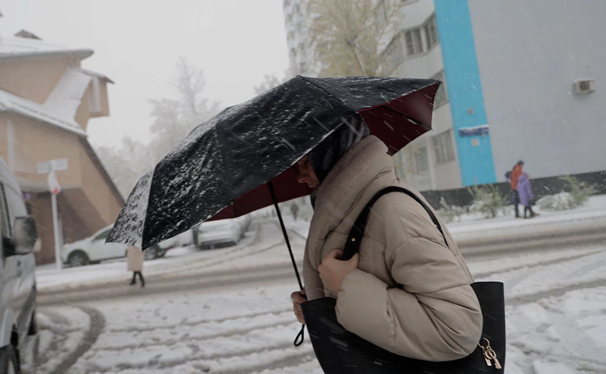 Михаил Гребенщиков / РБК