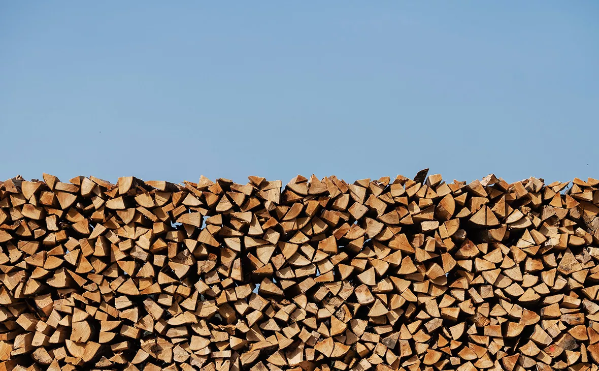 Silas Stein / dpa / Global Look Press