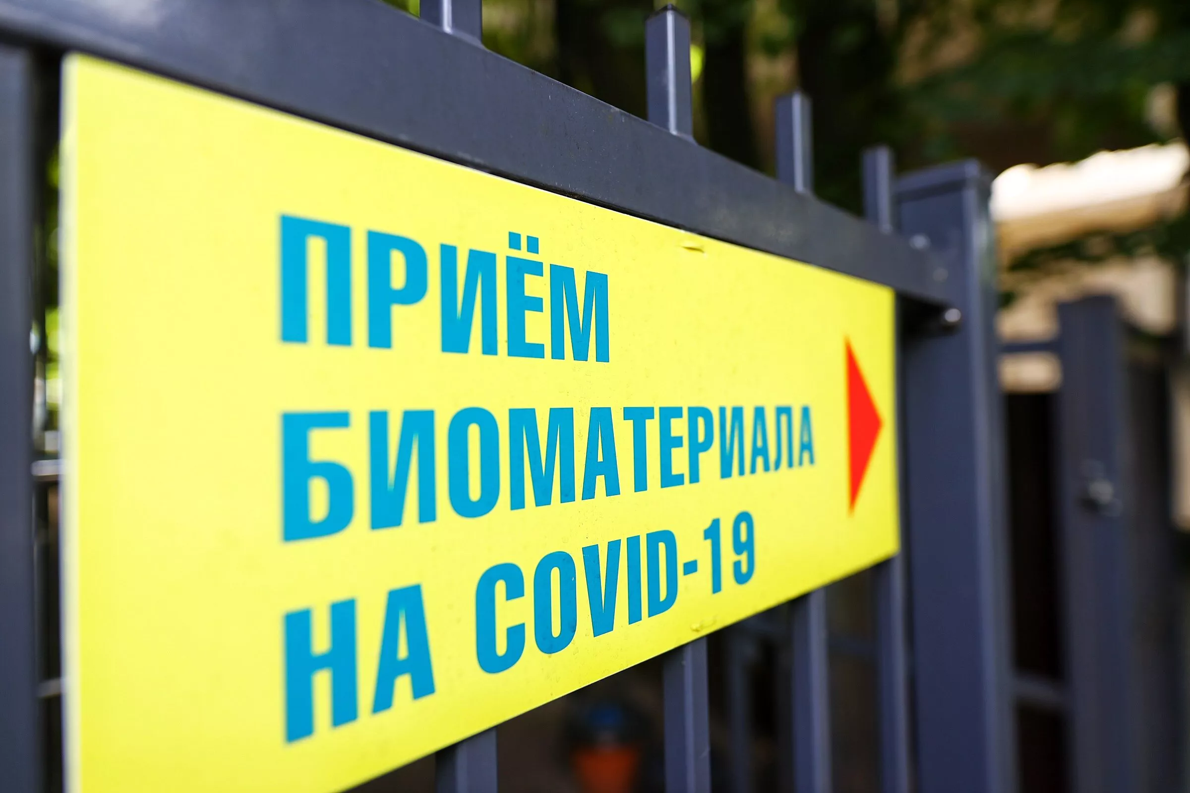 Александр Подгорчук