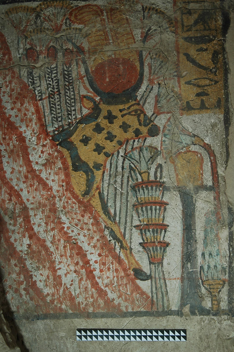 <p>Российская археологическая экспедиция в Луксоре: изображение небесной коровы в святилище гробницы Чаи</p>