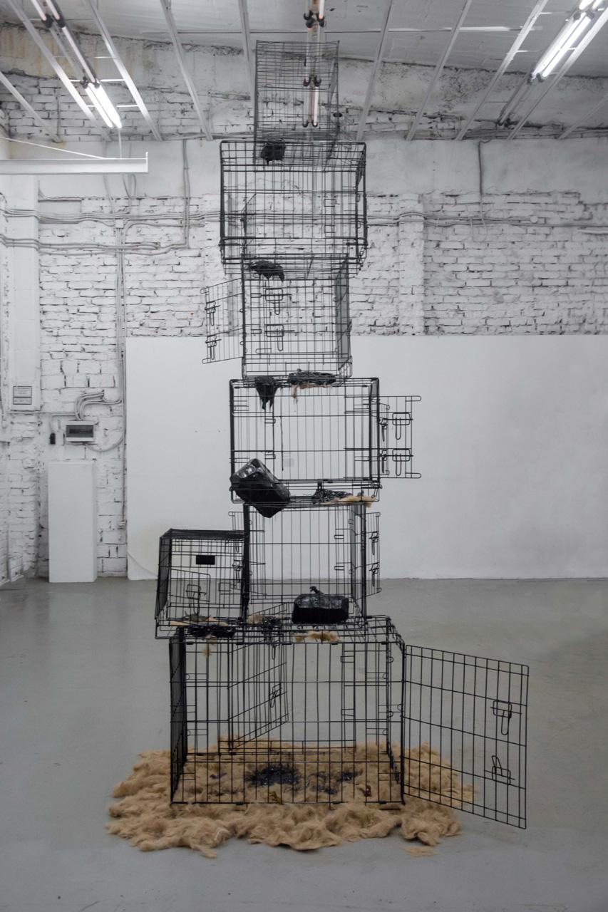 Danil Danot, инсталляция «Границы», 2024